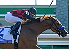 Full Sister to Ashland Winner Foaled Full Sister to Ashland Winner Foaled