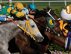 Lime Rickey's Turn in Colonial Turf Cup?
