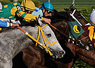 Lime Rickey's Turn in Colonial Turf Cup?