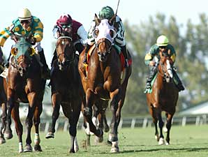 Turf Specialist Lime Rickey to Wood Turf Specialist Lime Rickey to Wood
