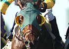 Turf Specialist Lime Rickey to Wood