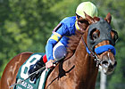 Final Derby Preps on TV Earn .7 Rating Final Derby Preps on TV Earn .7 Rating