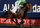 Lines of Battle Earns Ticket to KY Derby Lines of Battle Earns Ticket to KY Derby