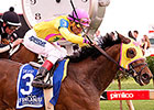 Lion D N A, Miss Behaviour Score at Pimlico Lion D N A, Miss Behaviour Score at Pimlico