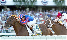 Lion Heart Injured, Retired; Sir Shackleton Bled Lion Heart Injured, Retired; Sir Shackleton Bled
