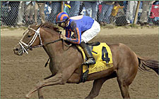 Lion Tamer Whips Commonwealth Foes Lion Tamer Whips Commonwealth Foes