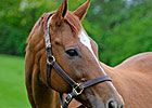 Lisa Danielle is KY Broodmare of the Year Lisa Danielle is KY Broodmare of the Year