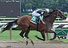 Lisa's Booby Trap Romps in Loudonville S. Lisa's Booby Trap Romps in Loudonville S.