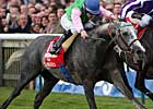 Literato Hangs on for Champion Victory