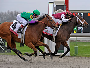 Little Belle Fights Back to Take Ashland Little Belle Fights Back to Take Ashland