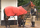 Royal Ascot - Little Bridge & Danny Shum