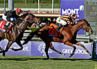 Little Mike, Dullahan to Point to Dubai