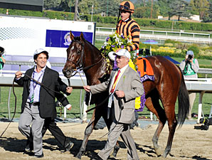 Hospitalized Dominguez Outstanding Jockey Hospitalized Dominguez Outstanding Jockey