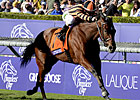 Little Mike Back to Turf in Dubai Duty Free Little Mike Back to Turf in Dubai Duty Free