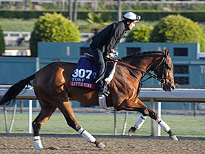 No Easy Road for Little Mike, Point of Entry No Easy Road for Little Mike, Point of Entry