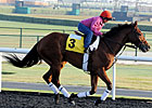 Dubai World Cup: Dale Romans - Little Mike