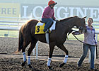 Little Mike Targeting United Nations July 6
