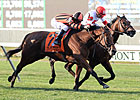 Little Mike Finds Form in Hirsch Turf Classic Little Mike Finds Form in Hirsch Turf Classic