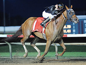 Good Golly, Little Miss Holly Rocks Iowa Oaks Good Golly, Little Miss Holly Rocks Iowa Oaks