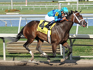 Live Lively, Davona Dale Winner, Euthanized Live Lively, Davona Dale Winner, Euthanized