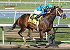  Live Lively, Davona Dale Winner, Euthanized