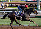 Nothhaft Living The Life With Improving Filly Nothhaft Living The Life With Improving Filly