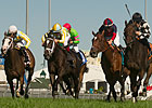 Mazarine Stakes Reunites Natalma Runners Mazarine Stakes Reunites Natalma Runners