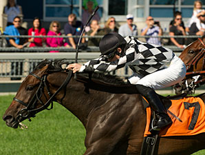 Llanarmon Wins Accident-Marred Natalma Llanarmon Wins Accident-Marred Natalma