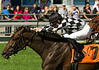 Llanarmon Wins Accident-Marred Natalma Llanarmon Wins Accident-Marred Natalma