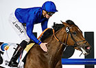 Local Time Wins UAE One Thousand Guineas Local Time Wins UAE One Thousand Guineas