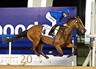 Local Time Continues Meydan Dominance Local Time Continues Meydan Dominance