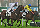 Loch Garman One to Watch for the Classics Loch Garman One to Watch for the Classics