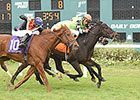 Lochte Triumphs in Tampa Bay Thriller Lochte Triumphs in Tampa Bay Thriller