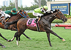 Grade I Winner Lochte Targets Tropical Turf Grade I Winner Lochte Targets Tropical Turf
