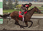 Lockout Holds Class Edge in Nearctic Stakes Lockout Holds Class Edge in Nearctic Stakes