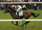 Logi Universe Takes Japan Derby Logi Universe Takes Japan Derby