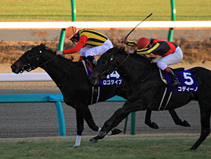 Logotype Upsets Codino in Asahi Hai Futurity Logotype Upsets Codino in Asahi Hai Futurity