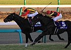 Logotype Upsets Codino in Asahi Hai Futurity Logotype Upsets Codino in Asahi Hai Futurity