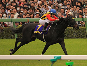 Logotype Wins Japanese Guineas in Record Time Logotype Wins Japanese Guineas in Record Time