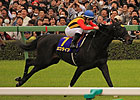 Logotype Wins Japanese Guineas in Record Time Logotype Wins Japanese Guineas in Record Time