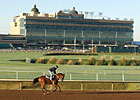 Lone Star Meet to Open With Premiere Stakes Lone Star Meet to Open With Premiere Stakes