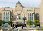 Attendance, Wagering Down at Lone Star Park