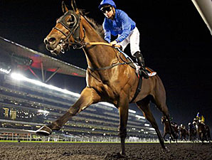 Long John Powerful in U.A.E. Guineas Romp Long John Powerful in U.A.E. Guineas Romp