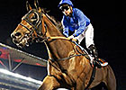 Long John Powerful in U.A.E. Guineas Romp Long John Powerful in U.A.E. Guineas Romp