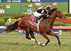 Long On Value Back on Top in Canadian Turf Long On Value Back on Top in Canadian Turf