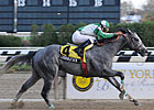 New York-breds Shine in Stallion Stakes New York-breds Shine in Stallion Stakes