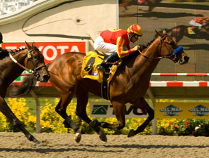 Lookin At Lucky on Rail for Del Mar Futurity Lookin At Lucky on Rail for Del Mar Futurity