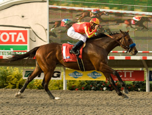 Lookin At Lucky Quick Learner in DM Futurity Lookin At Lucky Quick Learner in DM Futurity