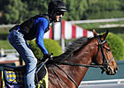 Juvenile: Lookin At Lucky 8-5 From Post 13 Juvenile: Lookin At Lucky 8-5 From Post 13