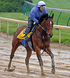 Lookin At Lucky New Derby Favorite Lookin At Lucky New Derby Favorite